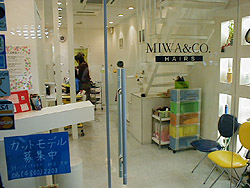 MIWA & CO. HAIRS